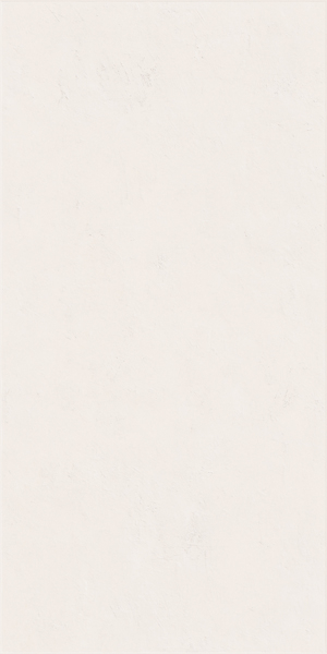 Фото Керамогранит WIDE&STYLE MINI SNOW RET (PF60008228) 60x120 от ABK Ceramiche