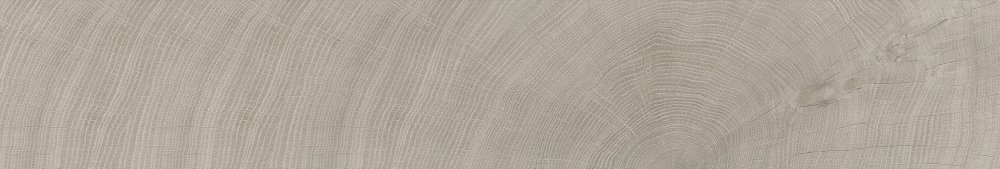 Фото Керамогранит Tree-Ring 25x150 (C2515) от Moreroom