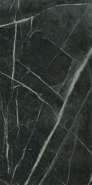 Фото Керамогранит EPOQUE 21 VERIA GRE. ANT R (PF60009345) 60x120 от Ariana