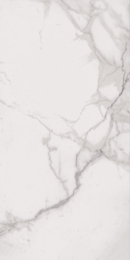Фото Керамогранит Flaviker Supreme SP6110L 60x120