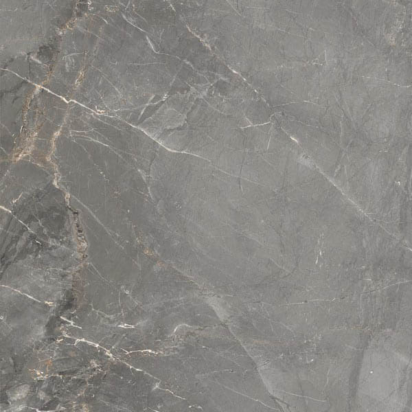 Фото Керамогранит Sybil Silver Levigato 60 60x60 от Cerdomus