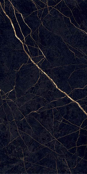 Фото Керамогранит SUPREME EVO NOIR LAURENT LUX 60x120 от Flaviker