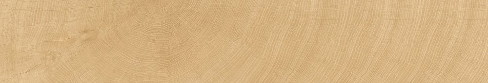 Фото Керамогранит Tree-Ring 25x150 (C2516) от Moreroom