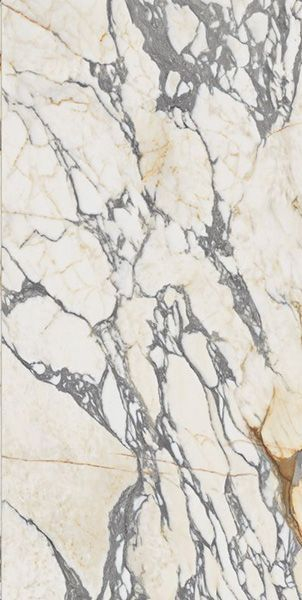 Фото Керамогранит EPOQUE 21 ARABESCATO ANT R (PF60009341) 60x120 от Ariana