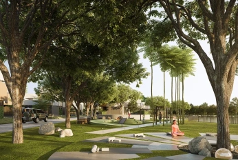 Sequoia Hills - Earthville