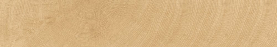 Фото Керамогранит Tree-Ring 25x150 (C2516) от Moreroom