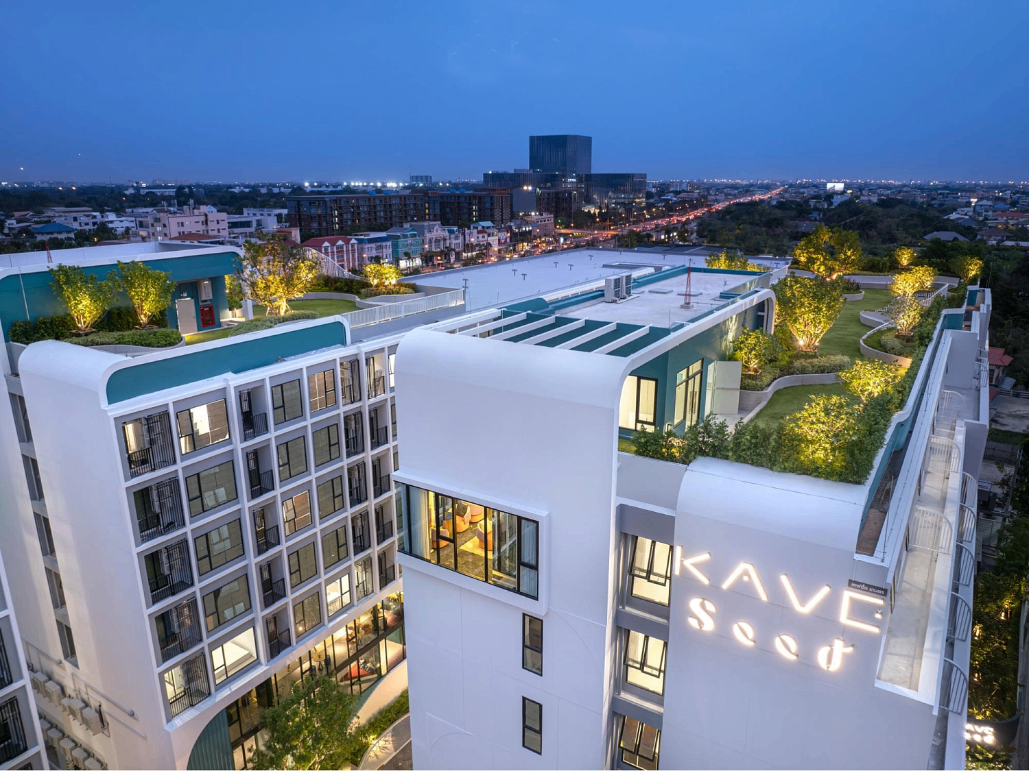 Фото Kave Seed Kaset