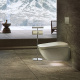 Фото Подвесной унитаз TOTO Neorest WX1 CW927PZY